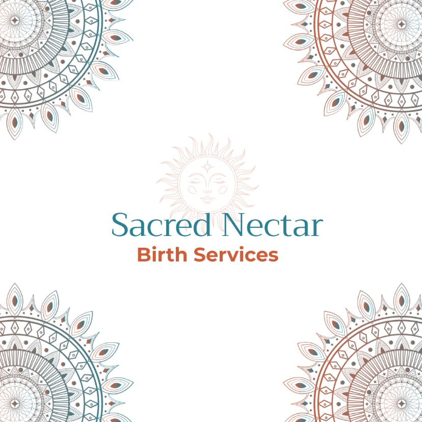 Ariana Solodar Wincele - Birth Professional Profile
